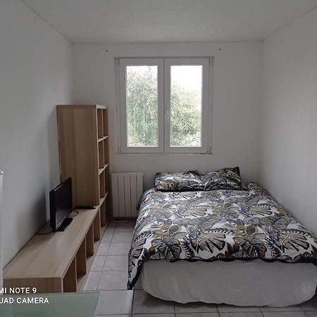 Appartement Studio Efficace, Calme Et Comfortable à Albi Extérieur photo